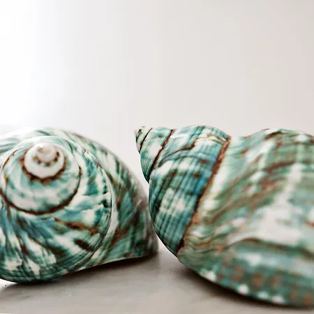 Casa Dafne Apartmán