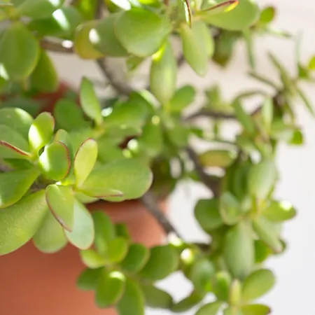 Casa Dafne Sperlonga